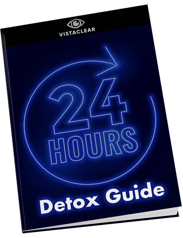 VistaClear bonus2 - 1-DAY Detox Miracle Guide